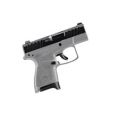 APX-A1 9MM CARRY 1 6 RND & 1 8 RND MAGS GRAY
