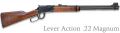 HENRY LEVER ACTION RIFLE 19 1/4" BBL 22 MAGNUM