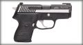 SIG P224 EQUINOX TWO TONE 40 S&W 10 RNDS
